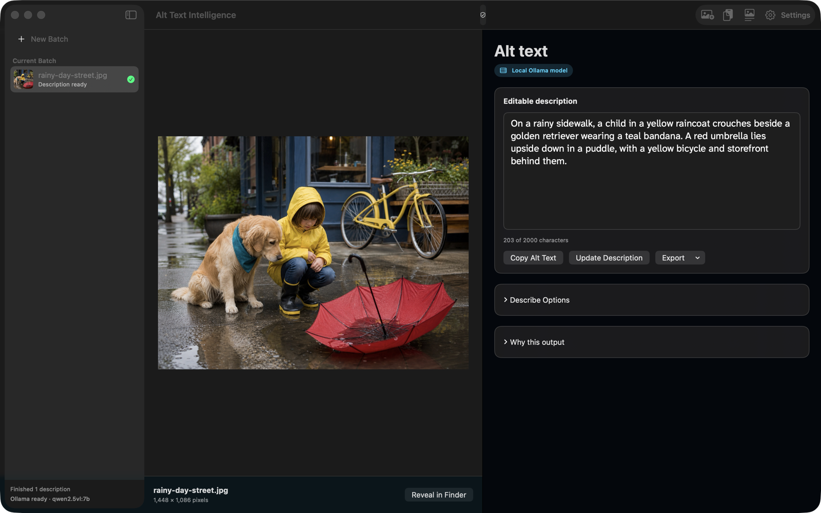 Alt Text Intelligence for Mac showing a rainy street photo, editable alt text, and a local Ollama model selected.