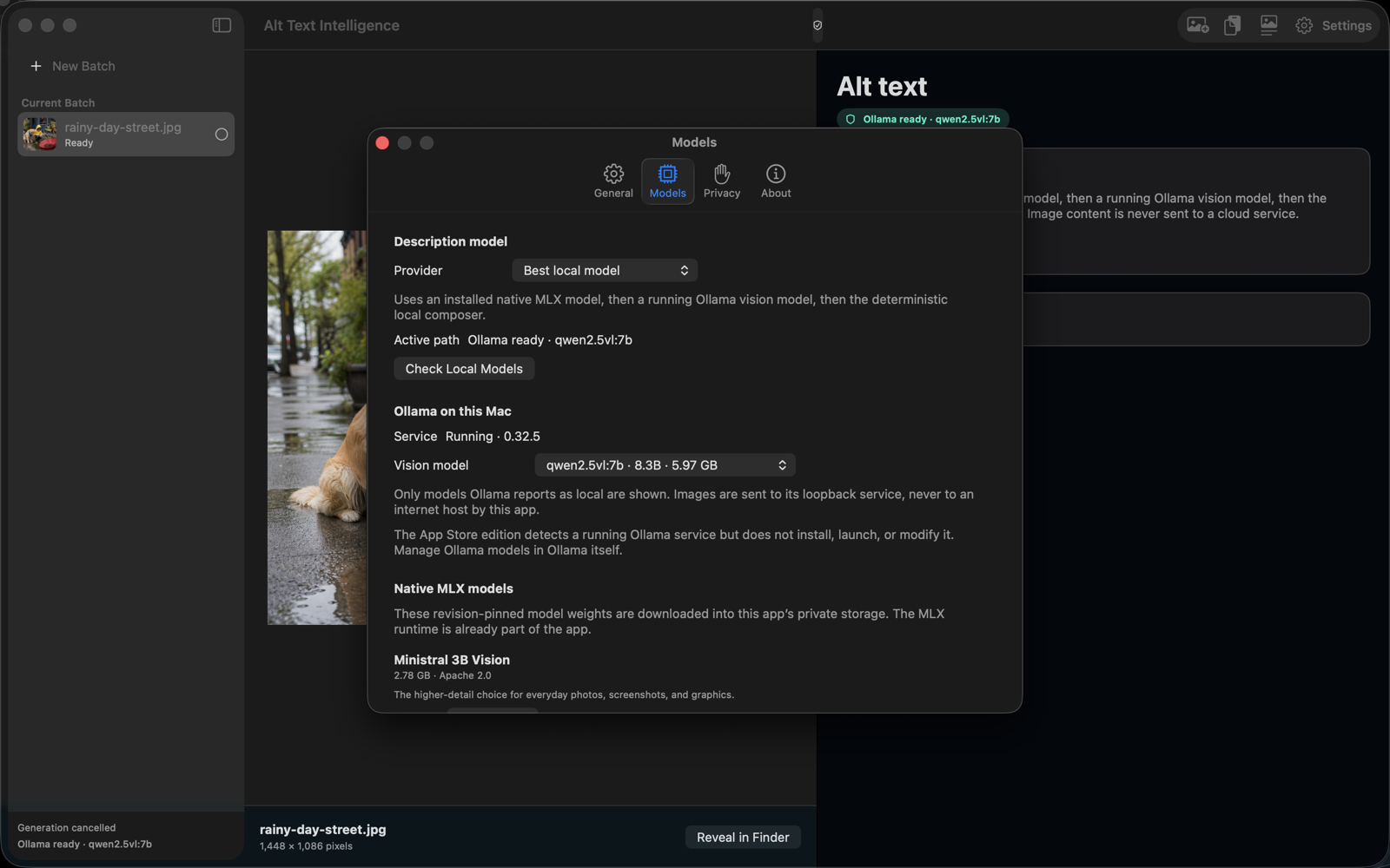Mac Models settings showing local MLX downloads, a running Ollama service, and the active vision model.